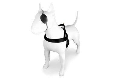 Pettorina per cani norvegese Morso oro riciclato caviale oro