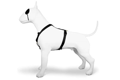 Pettorina per cani Morso pettorina ad H oro riciclato caviale oro