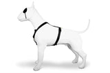 Pettorina per cani Morso pettorina ad H oro riciclato caviale oro