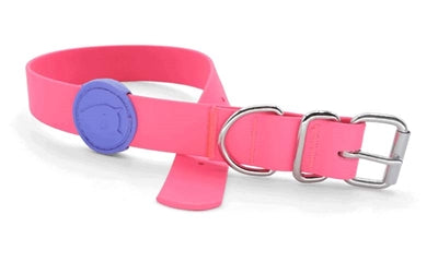 Collare per cani Morso impermeabile riciclato rosa passione rosa