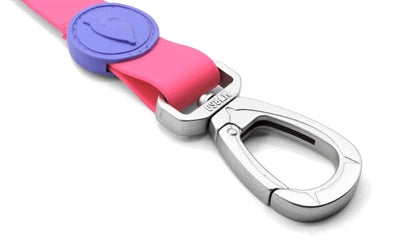 Guinzaglio per cani Morso impermeabile riciclato rosa passione rosa