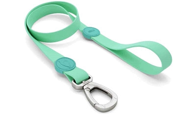 Guinzaglio per cani Morso impermeabile riciclato verde caraibi