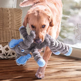 Kong Shakers Cruples Elephant