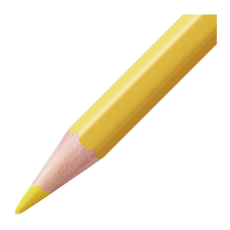 Astuccio Stabilo acquacolor da 24 pezzi
