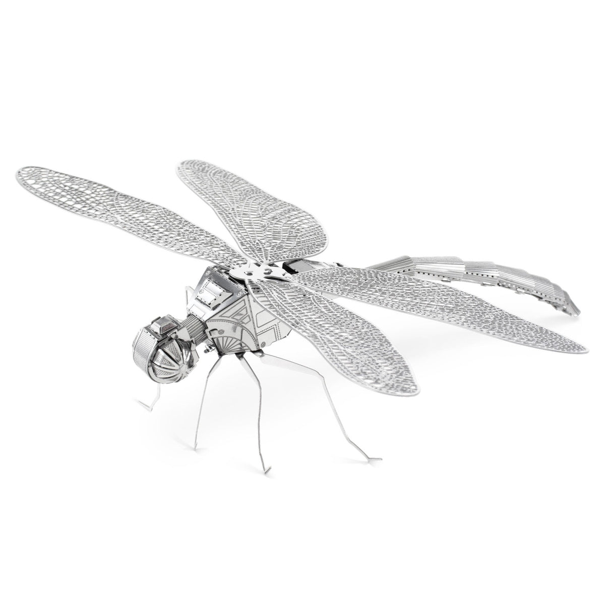 Libellula Eureka metallo-terra