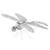 Libellula Eureka metallo-terra