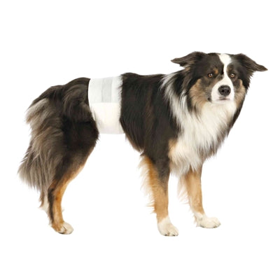 Pannolini per cani Trixie maschili