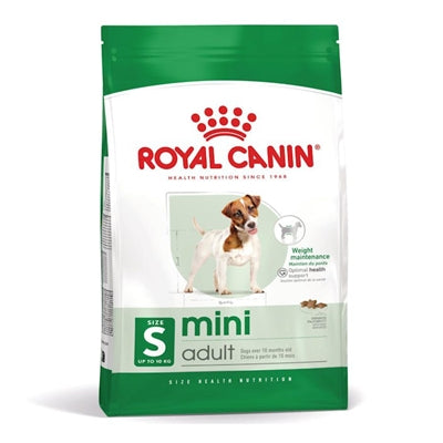 Canino reale canino mini adulto