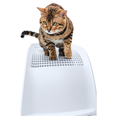 Toilette per gatti Imac Frida con cassetto blu