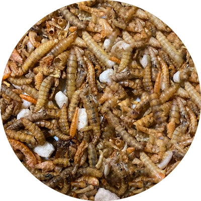 Mix di insetti utopia