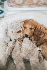 Il mio cane peluche marrone
