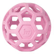 Jw hol-ee roller trend-ee rosa