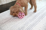 Jw hol-ee roller trend-ee rosa