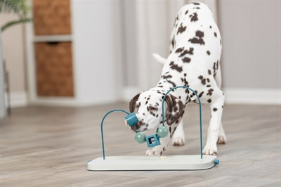 Le abilità di attività del cane Trixie camminano in plastica e metallo