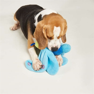 Fofos jumbo farfalla blu
