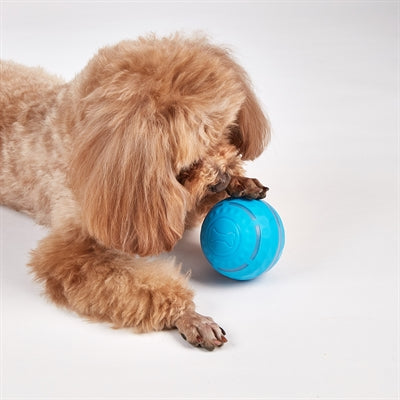 Palla ricaricabile Fofos per cani