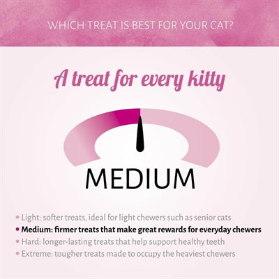 Antos cat soft sticks madam trota salmonata
