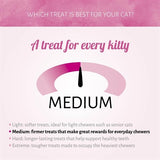 Antos cat soft sticks madam trota salmonata