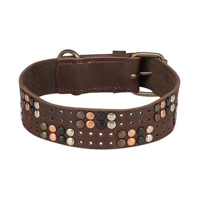 Trixie collare per cani rivetto rustico in pelle ingrassata marrone scuro