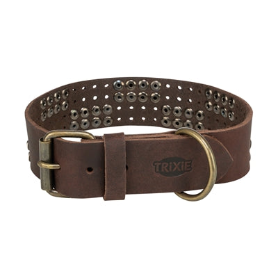 Trixie collare per cani rivetto rustico in pelle ingrassata marrone scuro