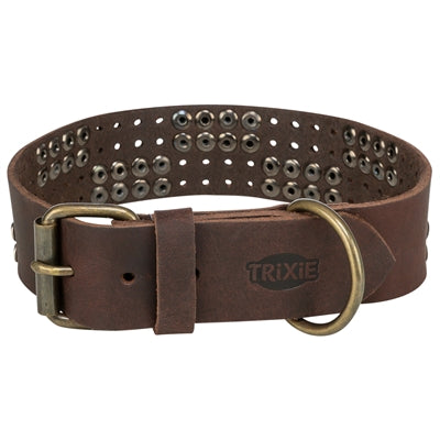 Trixie collare per cani rivetto rustico in pelle ingrassata marrone scuro