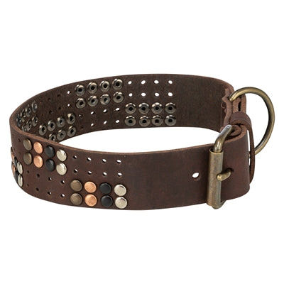 Trixie collare per cani rivetto rustico in pelle ingrassata marrone scuro