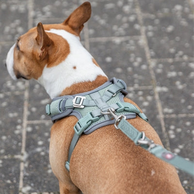 Trixie pettorina per cani premium flexmesh petto largo verde salvia