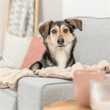 Trixie coperta per cani elli sabbia