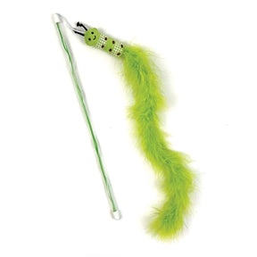 Happy pet tabby patch cat rod bruco verde