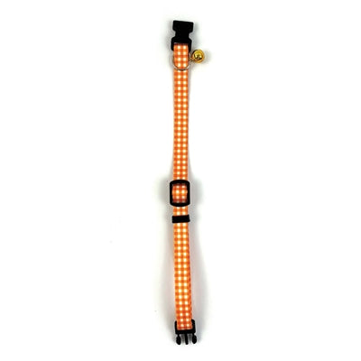 Happy pet tabby collare patch gatto diamante arancione