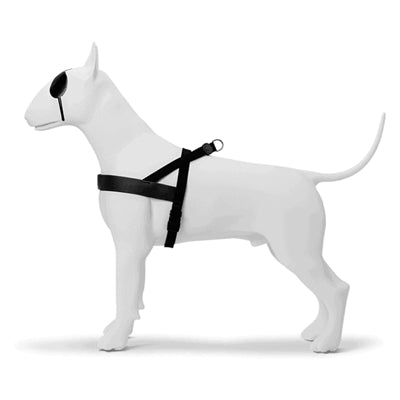 Pettorina per cani norvegese Morso riciclata purezza nera