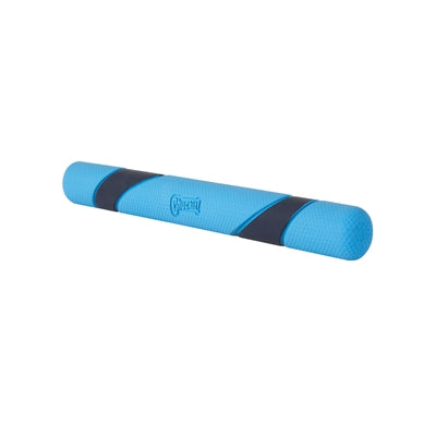 Chuckit sniff fetch stick profumo di bacon