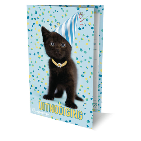 Inviti con gatti Rachel Hale, 6 pezzi.