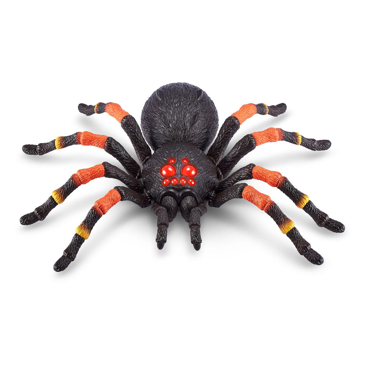 Zuru robo tarantola gigante viva con melma di ragnatela
