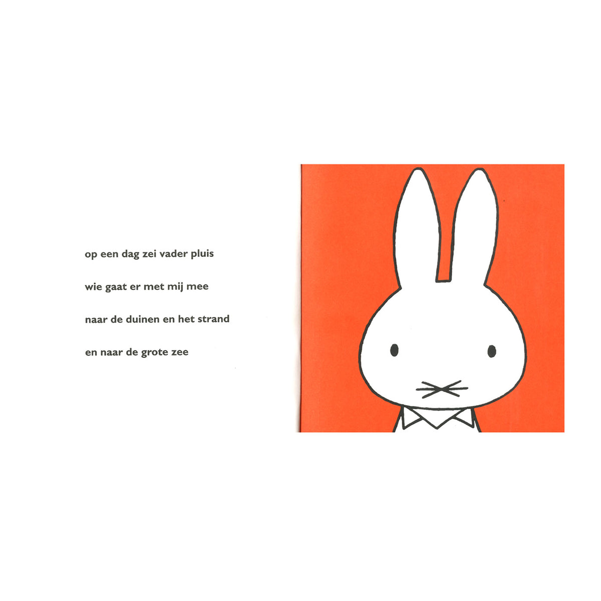 Libreria centrale Miffy in riva al mare