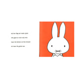 Libreria centrale Miffy in riva al mare