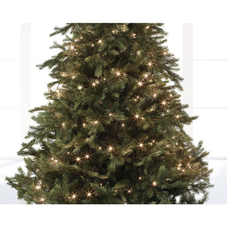 Catena luminosa a LED Lumineo per interni ed esterni 13,5 m 180 lampade con timer da 8 ore e funzione dimmer