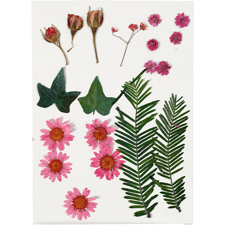 Azienda creativa https: www.cchobby.nl fiori-e-foglie-secche-ca-19-pezzi-lightred-1-box
