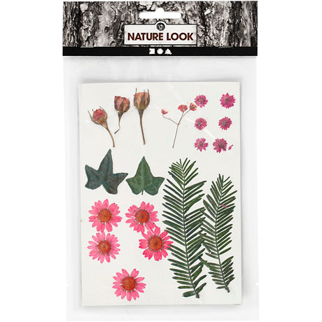 Azienda creativa https: www.cchobby.nl fiori-e-foglie-secche-ca-19-pezzi-lightred-1-box