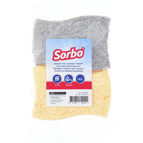 Paglietta antigraffio Sorbo, 2 pezzi