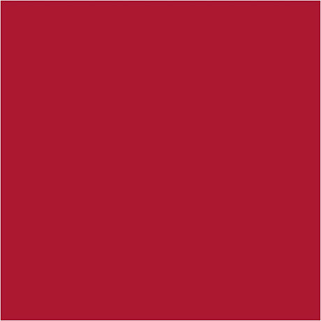 Cartoncino colorato Creative Company Rosso Natale 270gr, 100 fogli