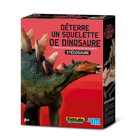 4m scava il tuo dinosauro allo Stegosaurus Kidzlabs