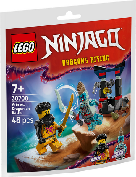 Lego Ninjago 30700 Arin contro Draconier