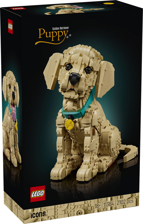 Lego ® Icons Cucciolo di Golden Retriever - Figura animale decorativa - Set da costruzione per adulti - 11384