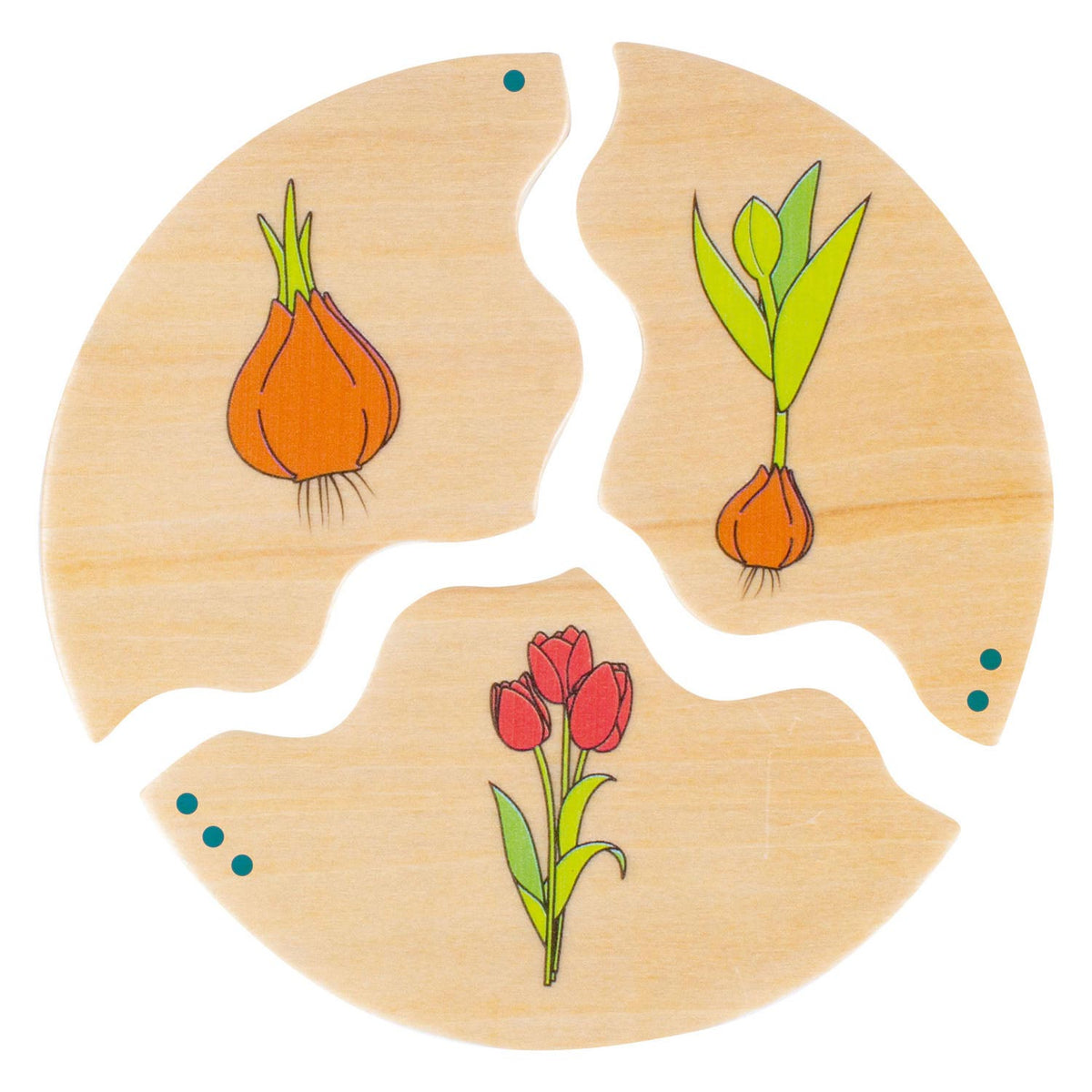 Beleduc Nawito Nature Evolution gioco per bambini in legno
