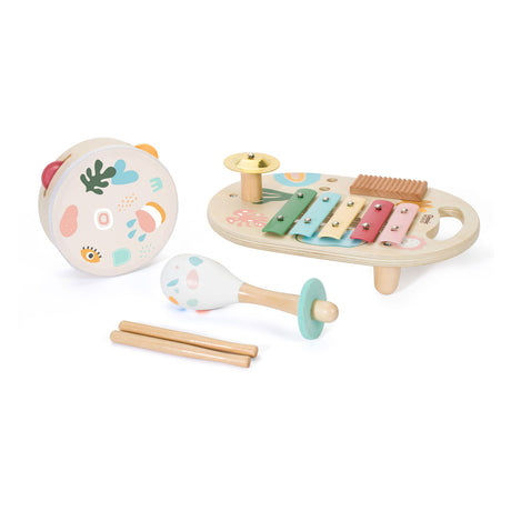 Set di strumenti musicali in legno del mondo classico iris