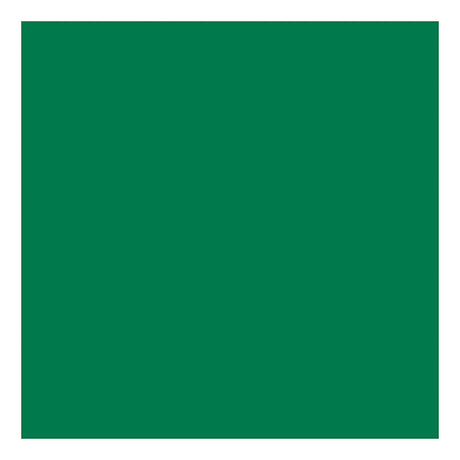 Creative Company Tissue Paper Green 10 Fogli 14 Gr, 50x70cm