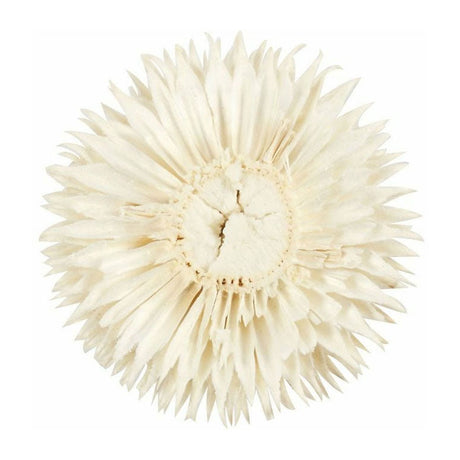 Creative Company Flowers secchi