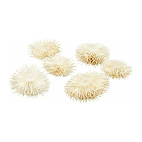 Creative Company Flowers secchi