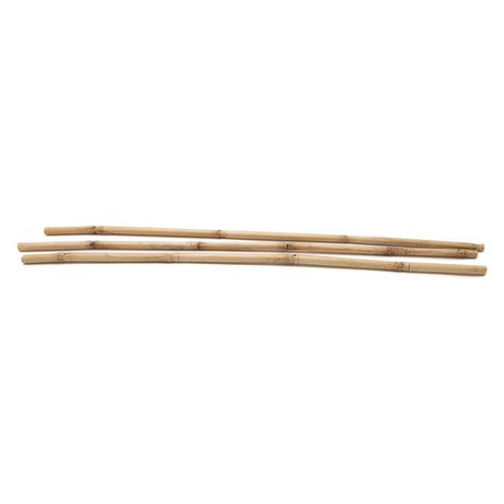 Colorazioni - Bamboo Stick 50 cm, 3 °.